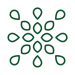 noun-seeds-3821983-0B5129